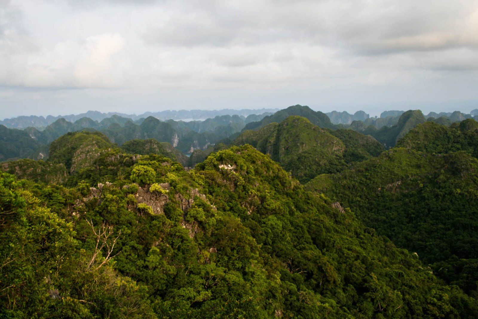 Ultimate Hanoi to Tam Dao Biking Tour 2 Days